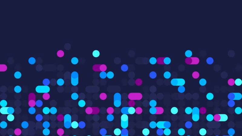 网站建设公司